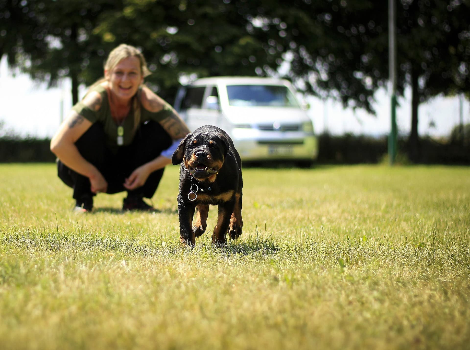 Kyrie with a Rottweiler puppy outdoors
